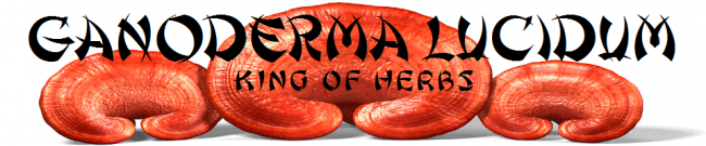 Ganoderma king