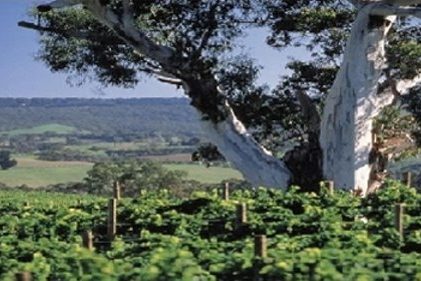 Gano Excel a környezetvédelemért