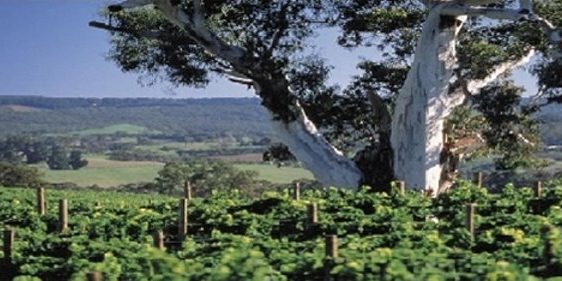 Gano Excel a környezetvédelemért