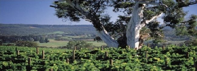 Gano Excel a környezetvédelemért