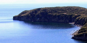 Corporate Social Responsibility