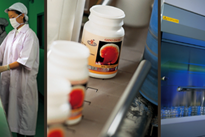 Ganoderma minőségellenőrzés