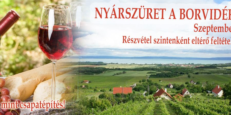 Gano Excel Csapatépítő promóció