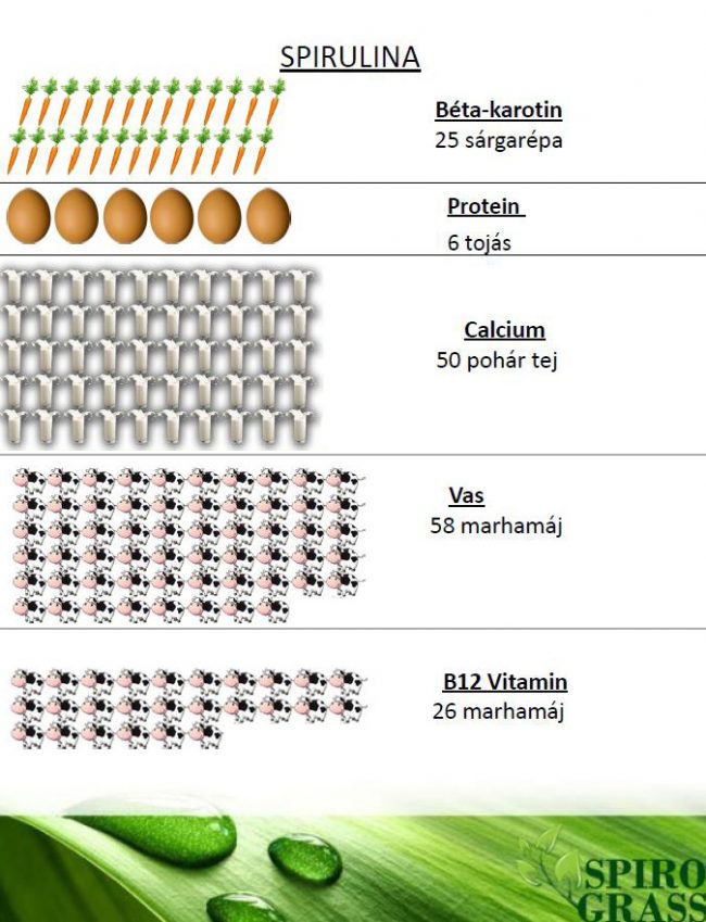 SpiroGrass Spirulina