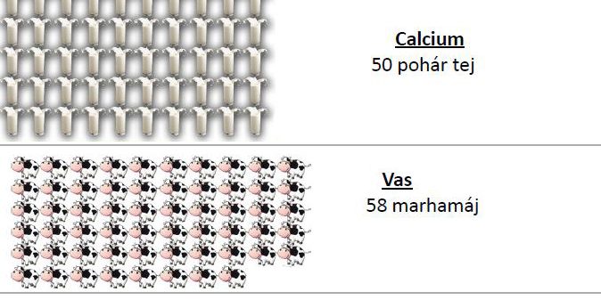 SpiroGrass Spirulina