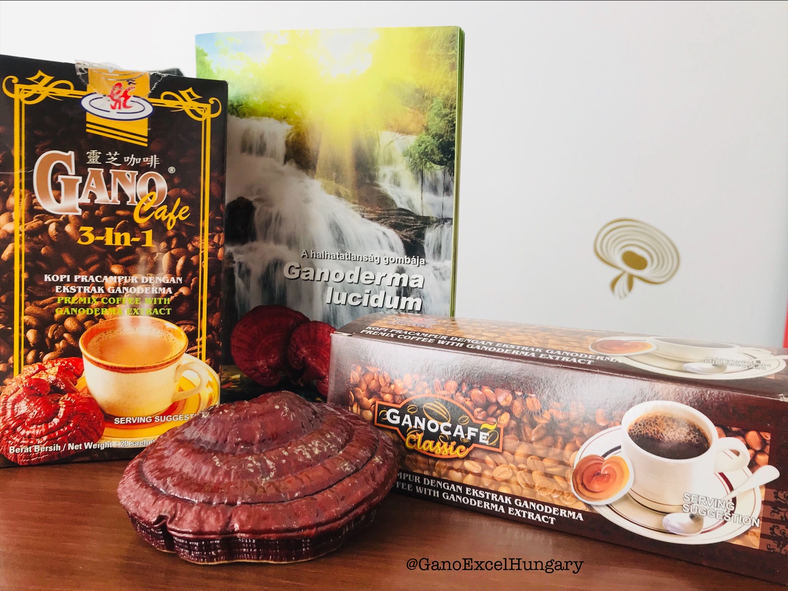 GE_3in1_Classic_kave_ganoderma_fuzet2