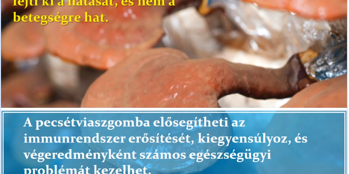 trening_modul_ganoterapia