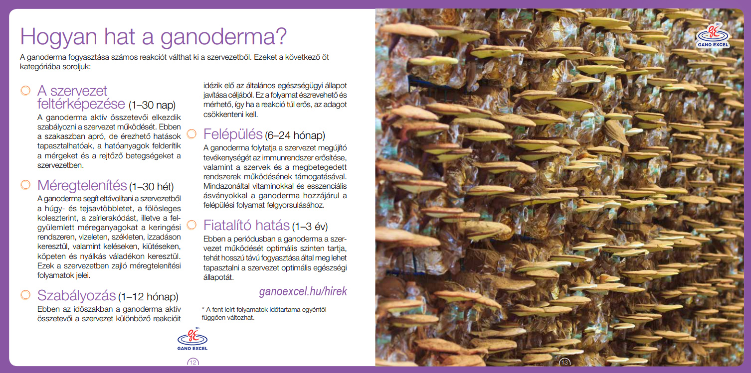ganoderma_hatasa_Gano_Excel