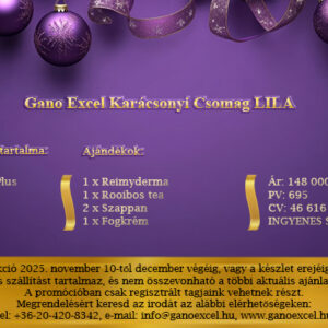 Karácsonyi csomag - Lila