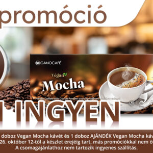 4+1 Vegan Mocha